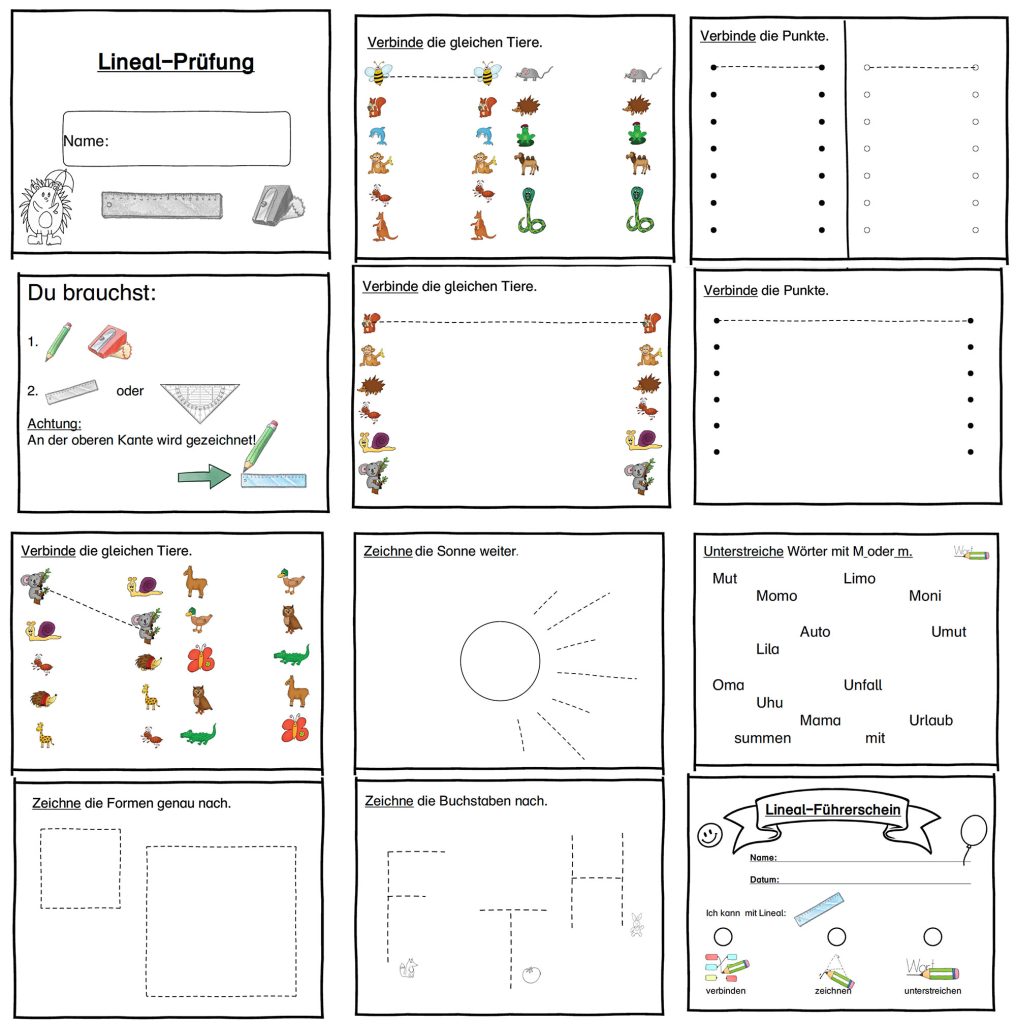 Grafik Führerscheine